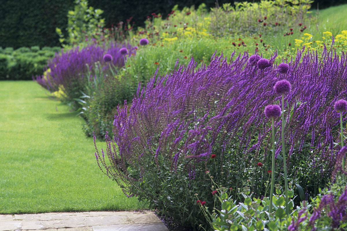 Floral garden at Grendon Court