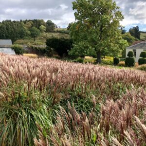 Grendon Court Gardens Herefordshire