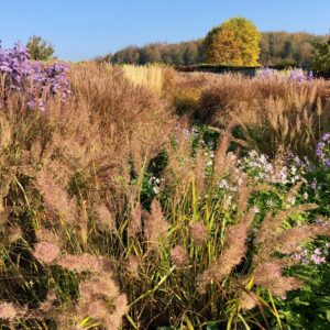 Grendon Court Gardens Herefordshire