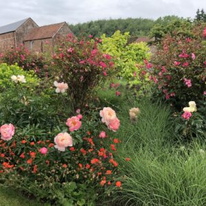 The Gardens at Grendon Court, Hereford