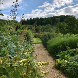 Grendon Court Gardens | Hereford