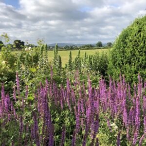 The Gardens at Grendon Court